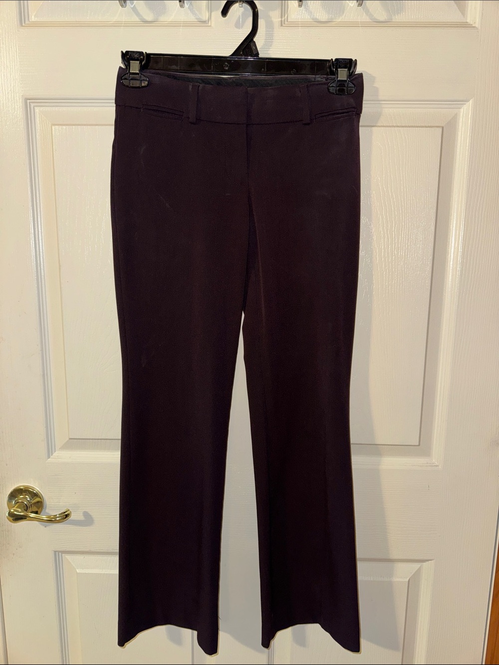LOFT Plum Boot Cut Dress Pants